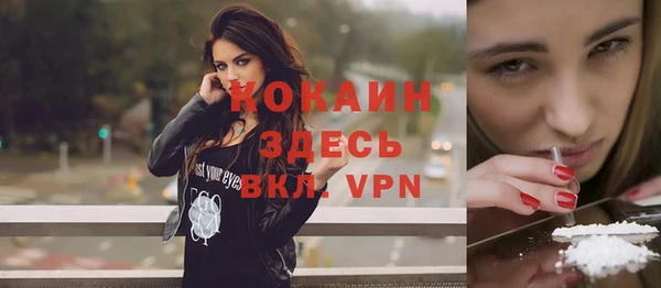 шишки Гусев