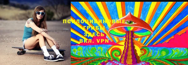 ПСИЛОЦИБИНОВЫЕ ГРИБЫ Гусь-Хрустальный