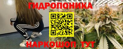 марихуана Камышлов