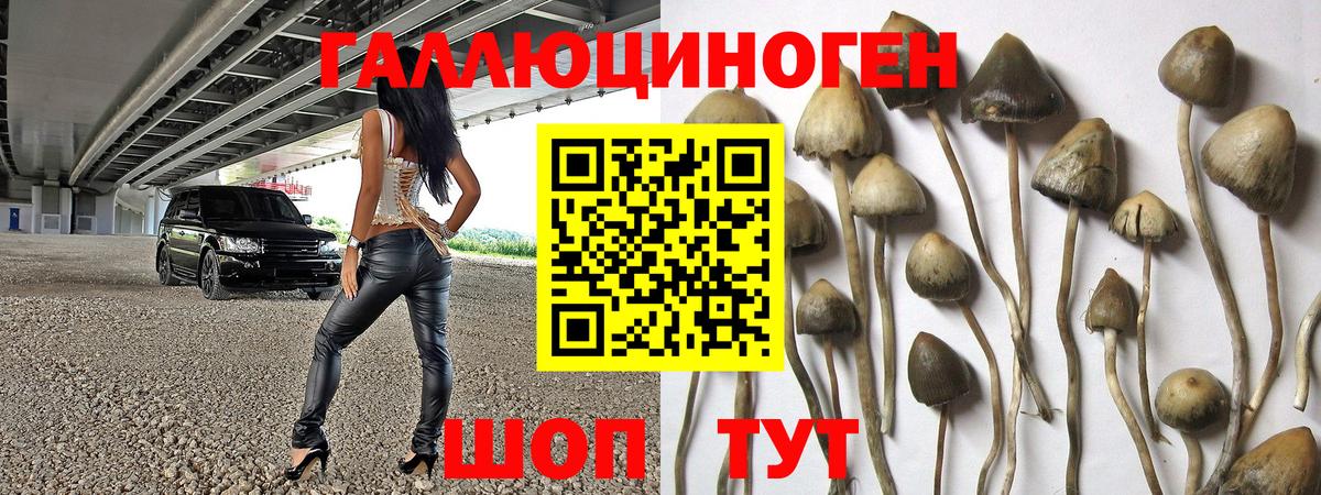 Псилоцибиновые грибы Cubensis Волоколамск