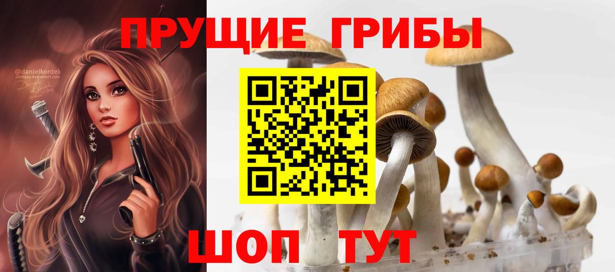 Псилоцибиновые грибы мицелий Волоколамск