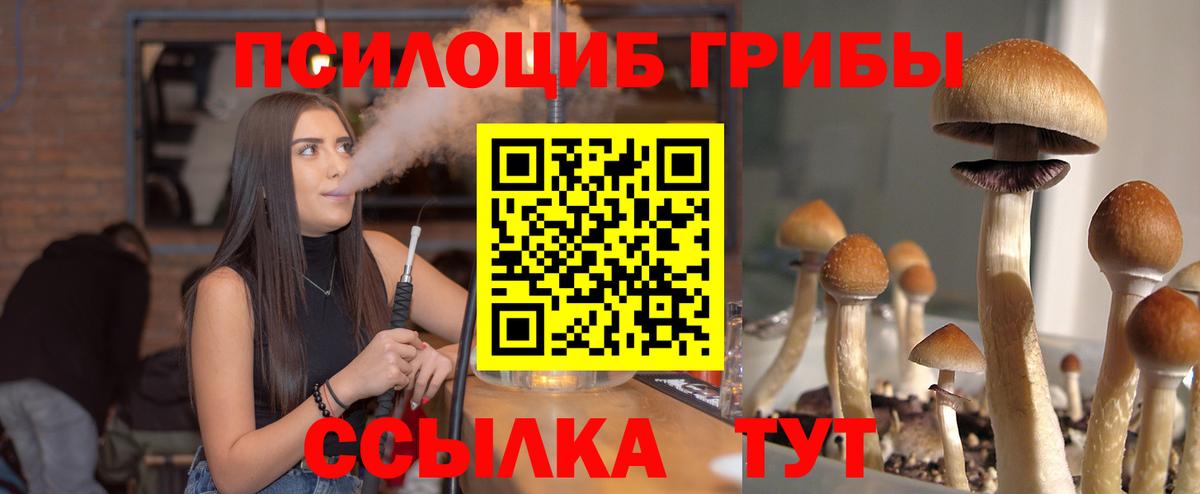 Псилоцибиновые грибы Cubensis  наркота  Псилоцибиновые грибы MAGIC MUSHROOMS  Волоколамск 